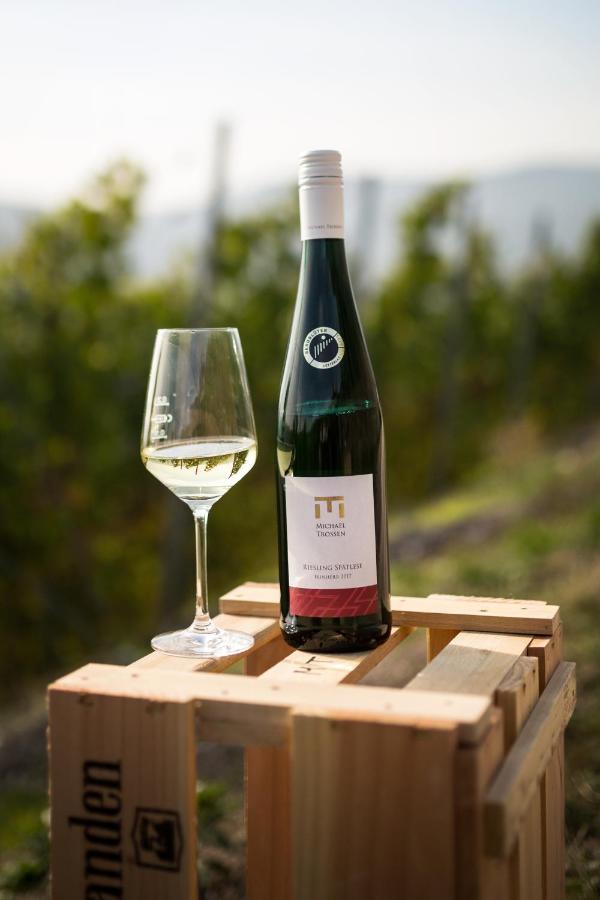 Rieslingquartier - Mosel Wein Hotel 克罗夫 外观 照片